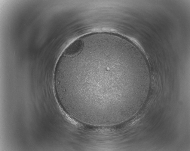 X0000060780895200511141414