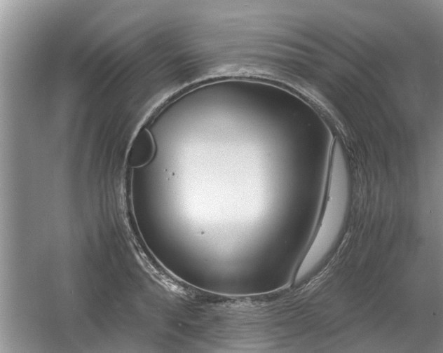 X0000060780896200511141414