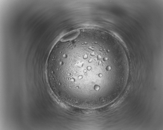 X0000060780899200511141414