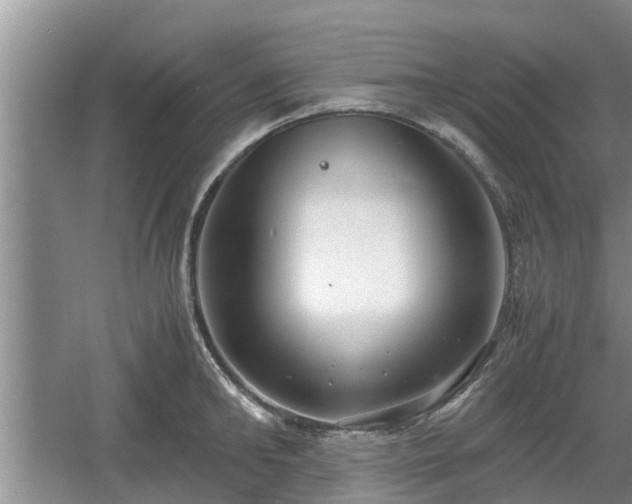 X0000060780902200511141414