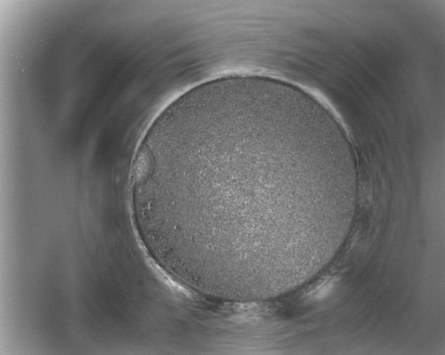 X0000060780903200511141414