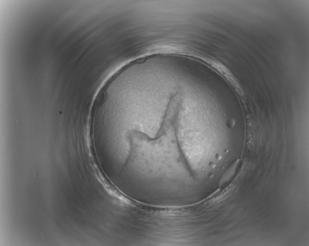 X0000060780904200511141414