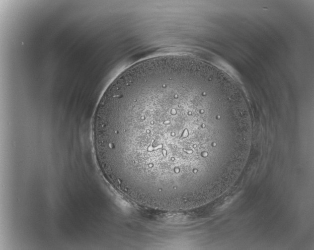 X0000060780907200511141414