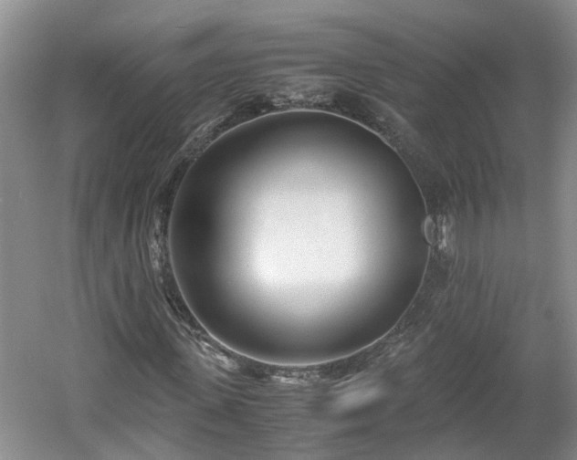 X0000060780915200511141413