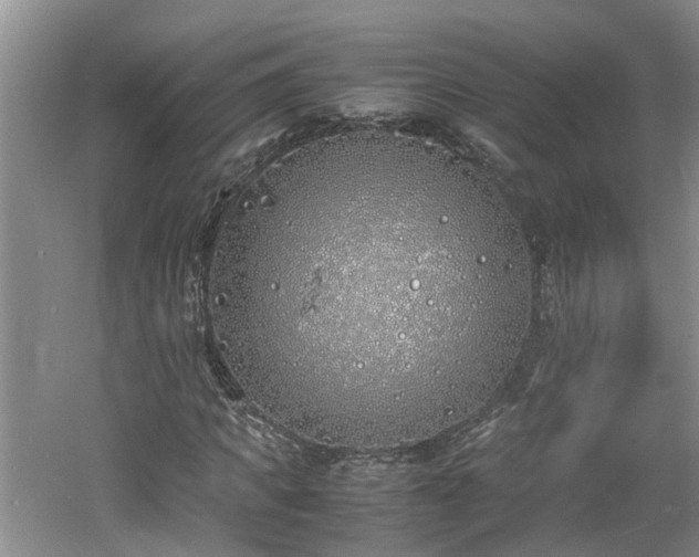 X0000060780917200511141413