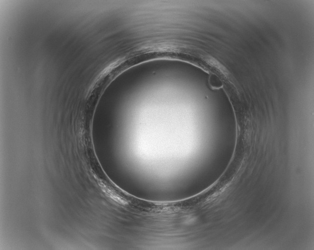 X0000060780922200511141413