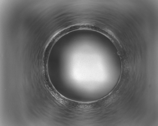 X0000060780927200511141413