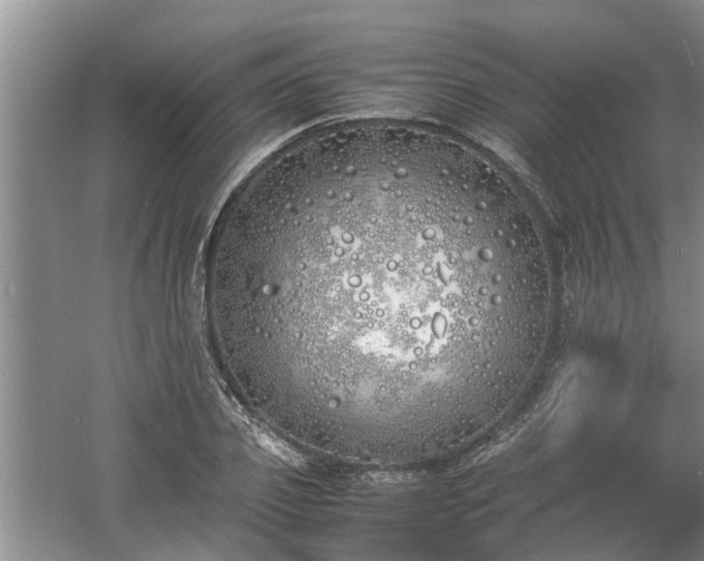 X0000060780933200511141413