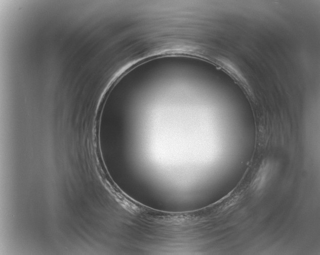 X0000060780948200511141413