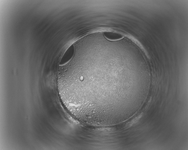 X0000060780953200511141413