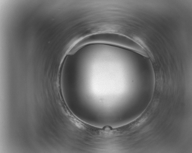 X0000060780956200511141414