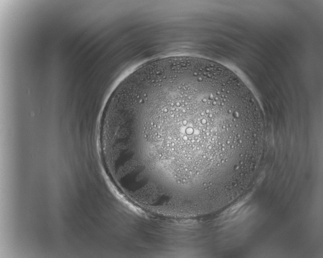 X0000060780957200511141414