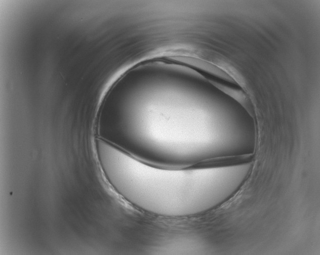 X0000060780960200511141414