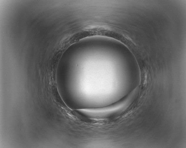 X0000060780965200511141413