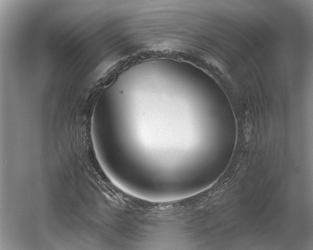 X0000060780968200511141413