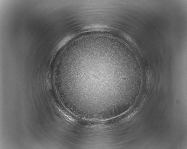 X0000060780970200511141413