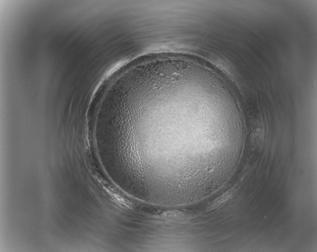 X0000060780974200511141413