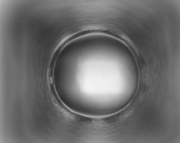 X0000060780983200511141412