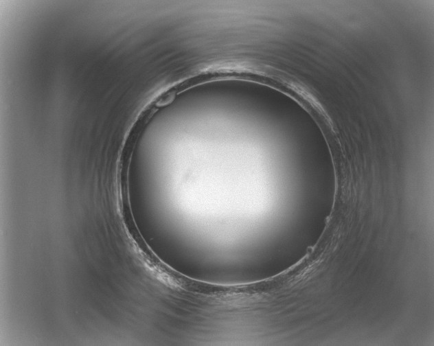 X0000060780984200511141412