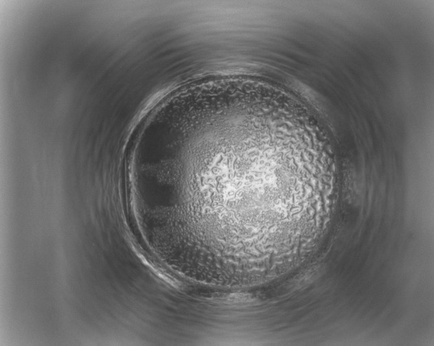 X0000060780986200511141412