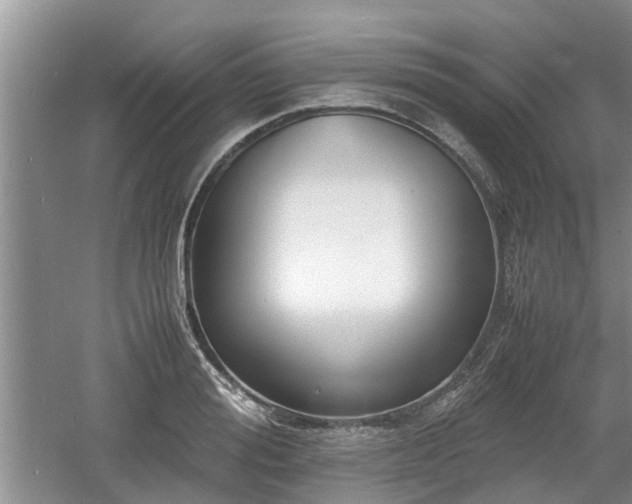 X0000060780988200511141412