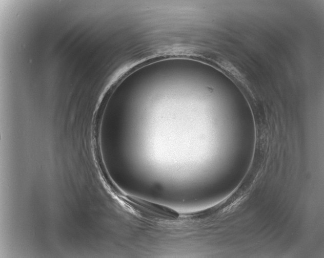 X0000060780989200511141412