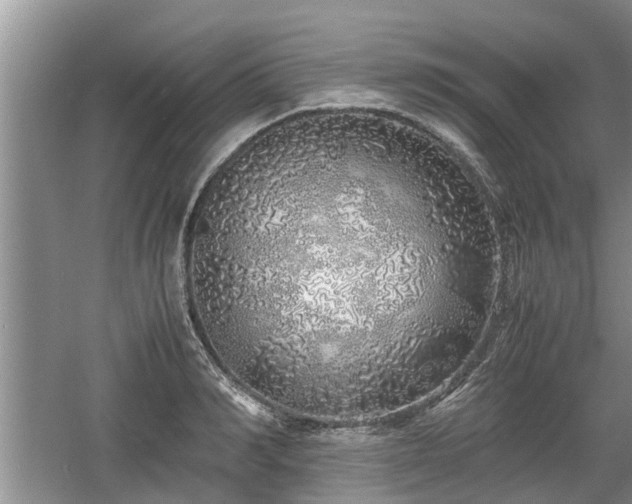 X0000060780990200511141412