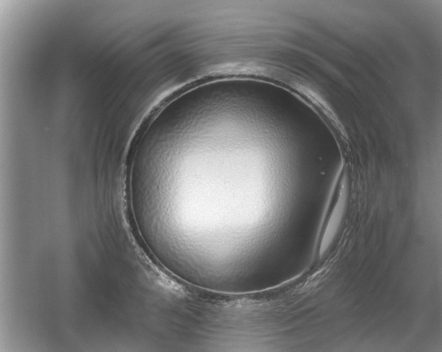 X0000060780992200511141412