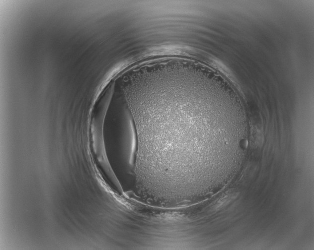 X0000060780994200511141412