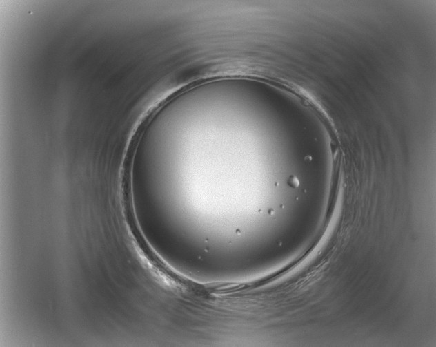 X0000060780995200511141412