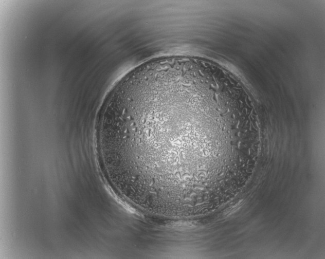 X0000060780998200511141412