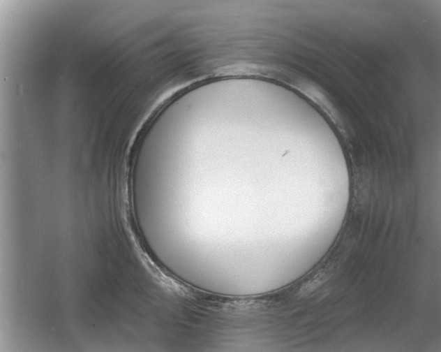 X0000060781000200511141412