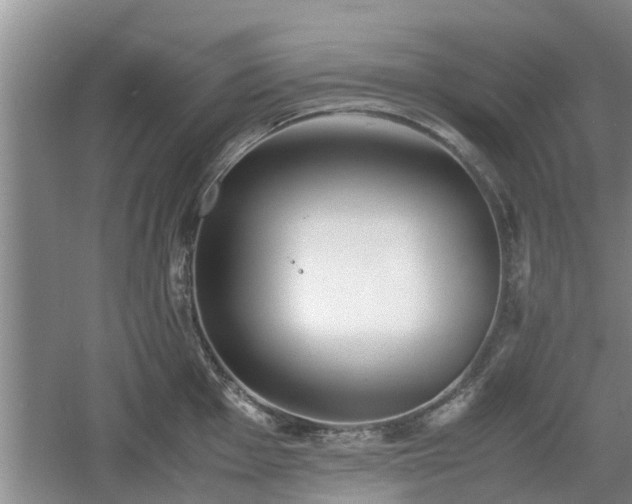 X0000060781001200511141412