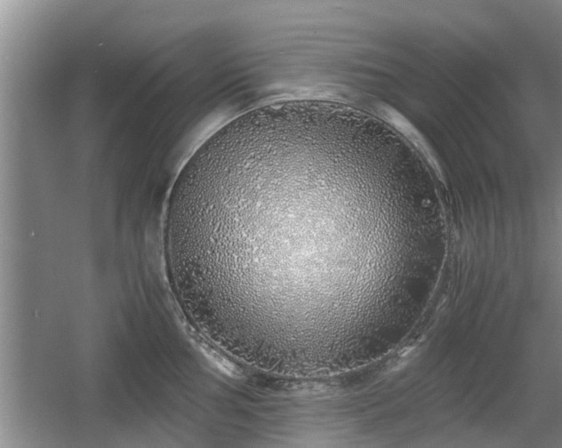 X0000060781002200511141412