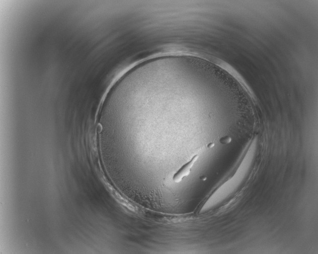 X0000060781004200511141412