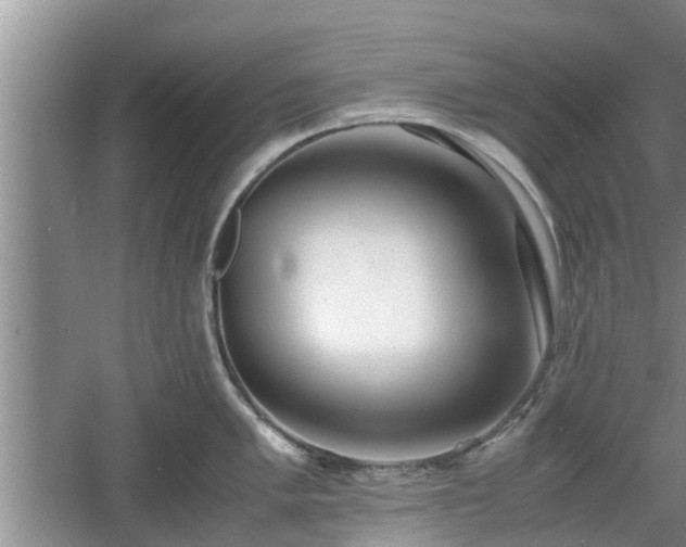 X0000060781005200511141412