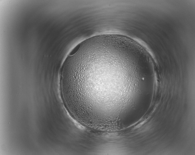 X0000060781006200511141412