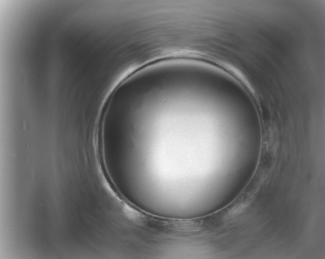 X0000060781007200511141412