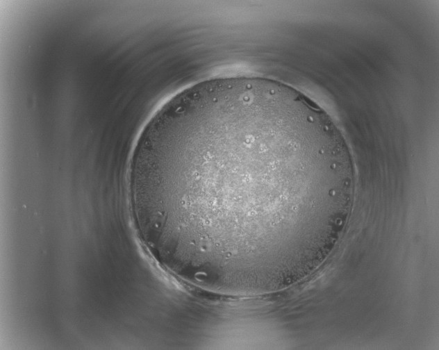 X0000060781008200511141412