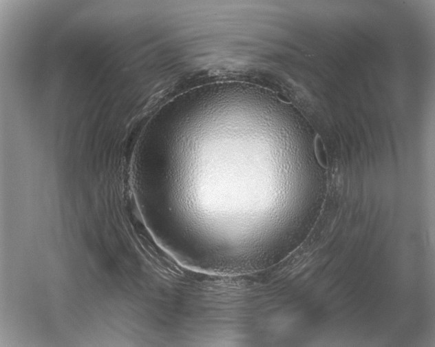 X0000060781012200511141411