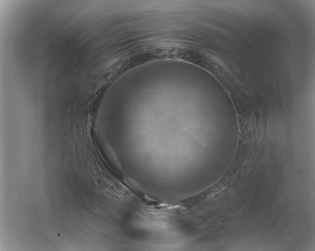 X0000060781013200511141411