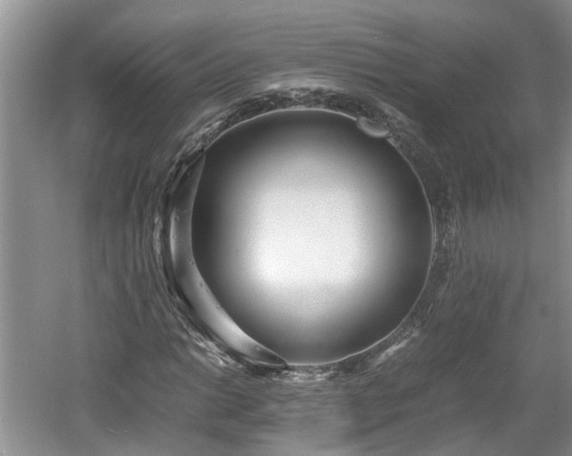 X0000060781014200511141411