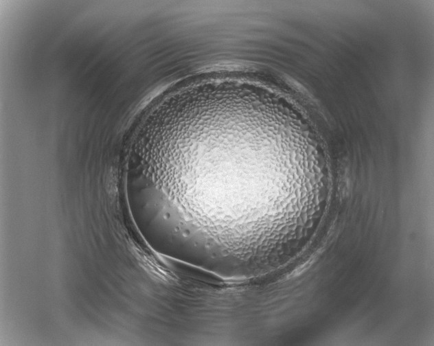 X0000060781017200511141411