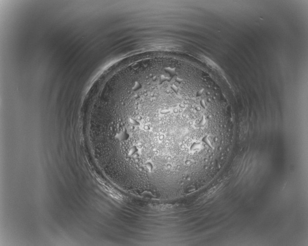 X0000060781019200511141411