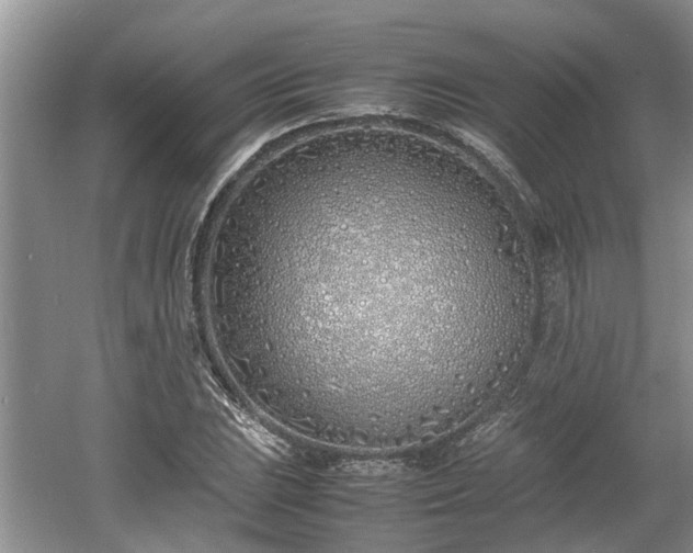 X0000060781023200511141411