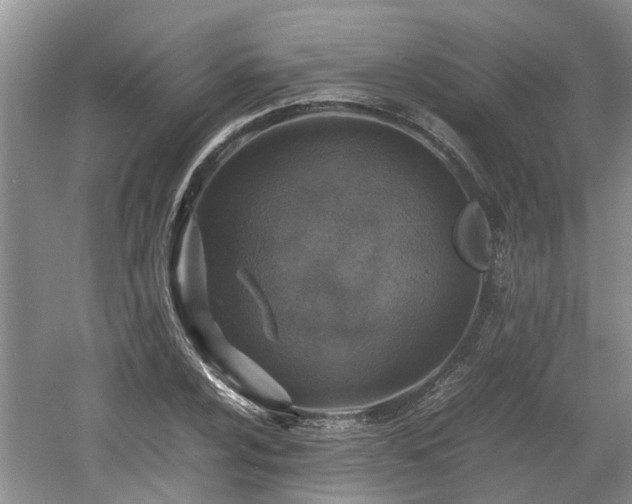 X0000060781024200511141411