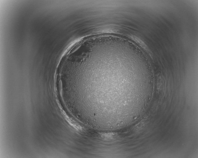 X0000060781031200511141412