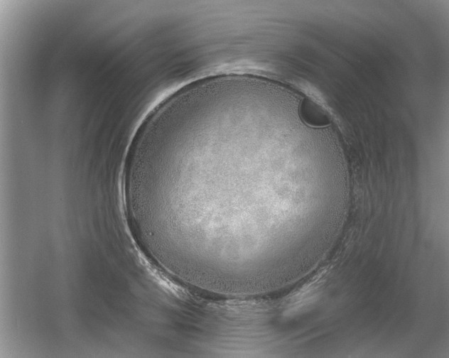 X0000060781032200511141412