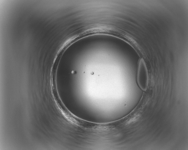 X0000060781034200511141412