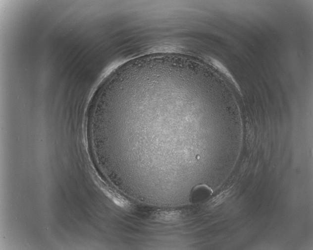 X0000060781035200511141412